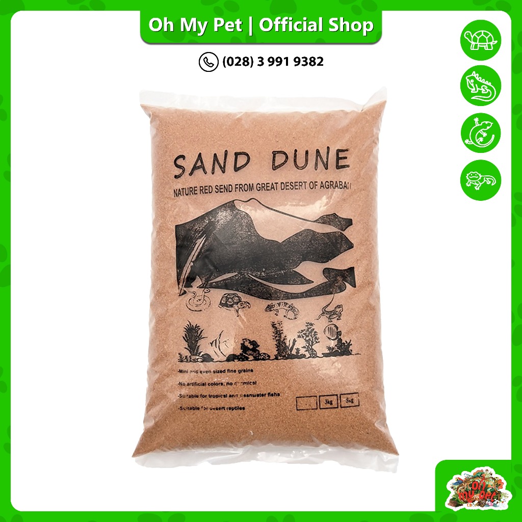 Cát lót chuồng cho bò sát sa mạc Sand Dune 🌵