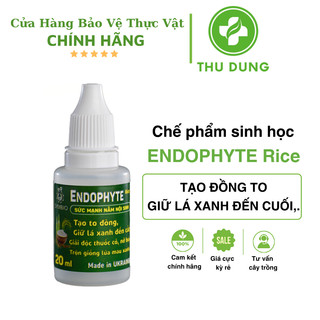 Endophyte 20ml symbio tạo to đòng, xanh lá đến cắt, nở bụi