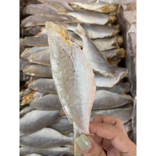 Khô cá đù cá phèn mặn đặc sản hạ long gói 1kg