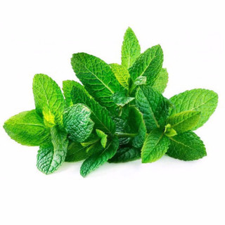 Hạt Giống Bạc Hà Thái (135)