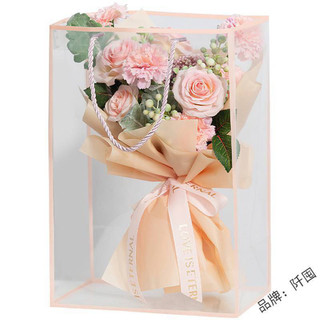 combo 10 túi kiếng trong suốt