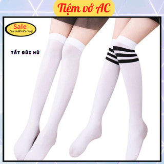 Tất đùi cho nữ hai màu trắng đen loại dày T35
