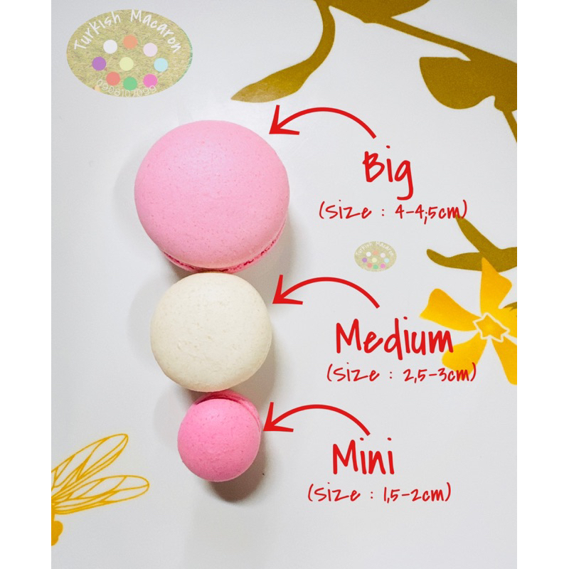 Bánh MACARON Medium size-2,5-3cm - 10 bánh