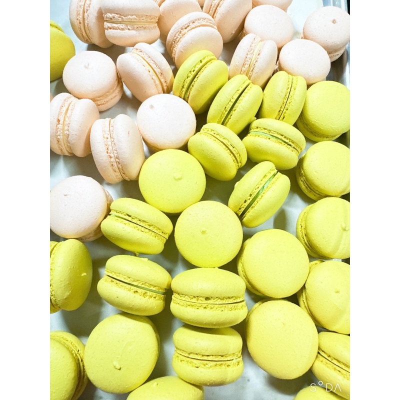 Bánh MACARON Medium size-2,5-3cm - 10 bánh