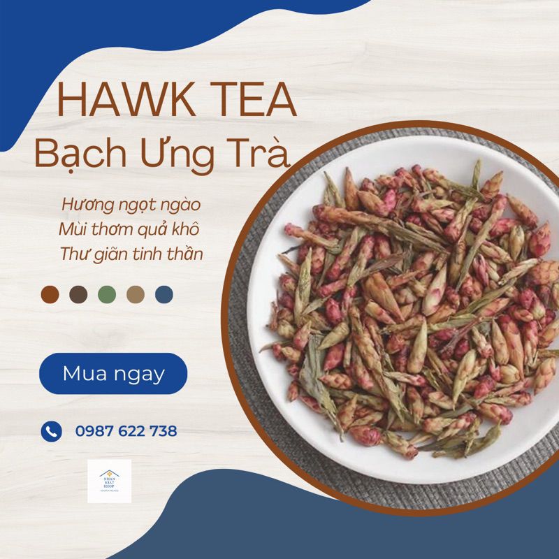 BẠCH ƯNG TRÀ CỔ THỤ BÚP TÍM HOANG DÃ