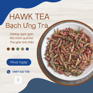Bạch ưng trà cổ thụ búp tím hoang dã