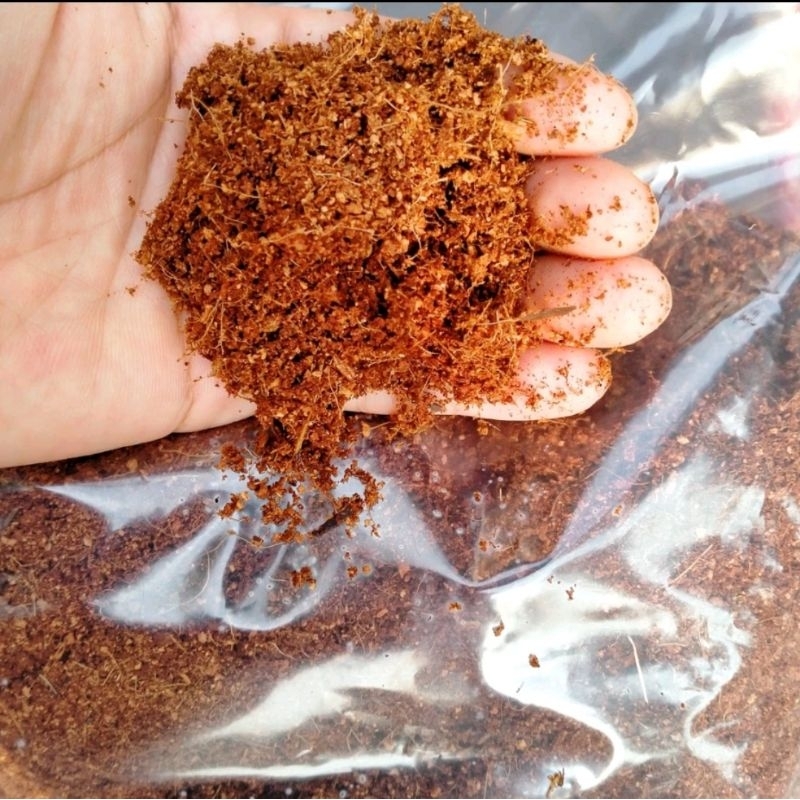 Mụn dừa đã lọc xơ dừa để lót chuồng ốc, bò sát , trồng cây