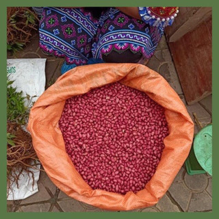 1kg lạc đỏ Tây Bắc