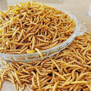 Sâu Mealworm sấy cho hamster- 100gram