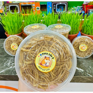 Sâu Mealworm sấy cho hamster- 100gram