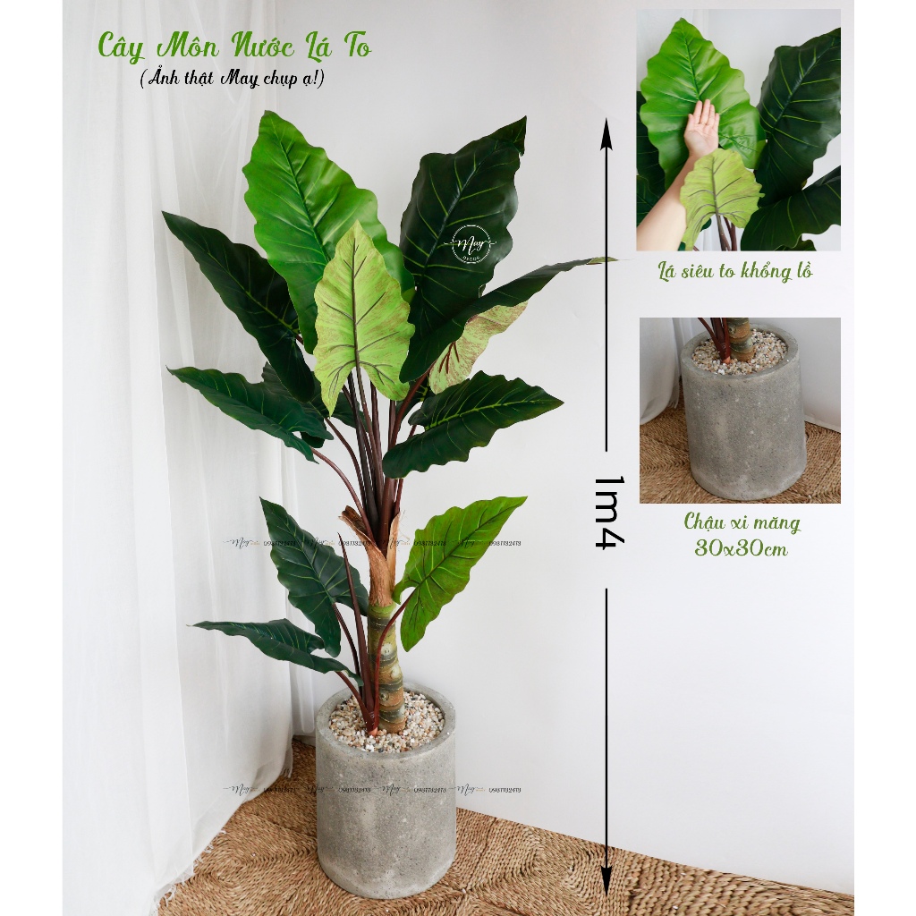 Cây giả,Trầu bà lá Xẻ to cao cấp Monstera 8 lá trang trí nhà cửa