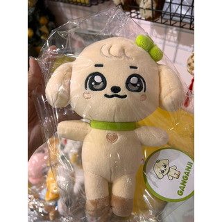 Doll IVE Official