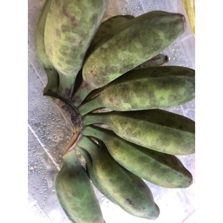 1Kg-Chuối sáp vàng cơm Bến Tre đặc sản