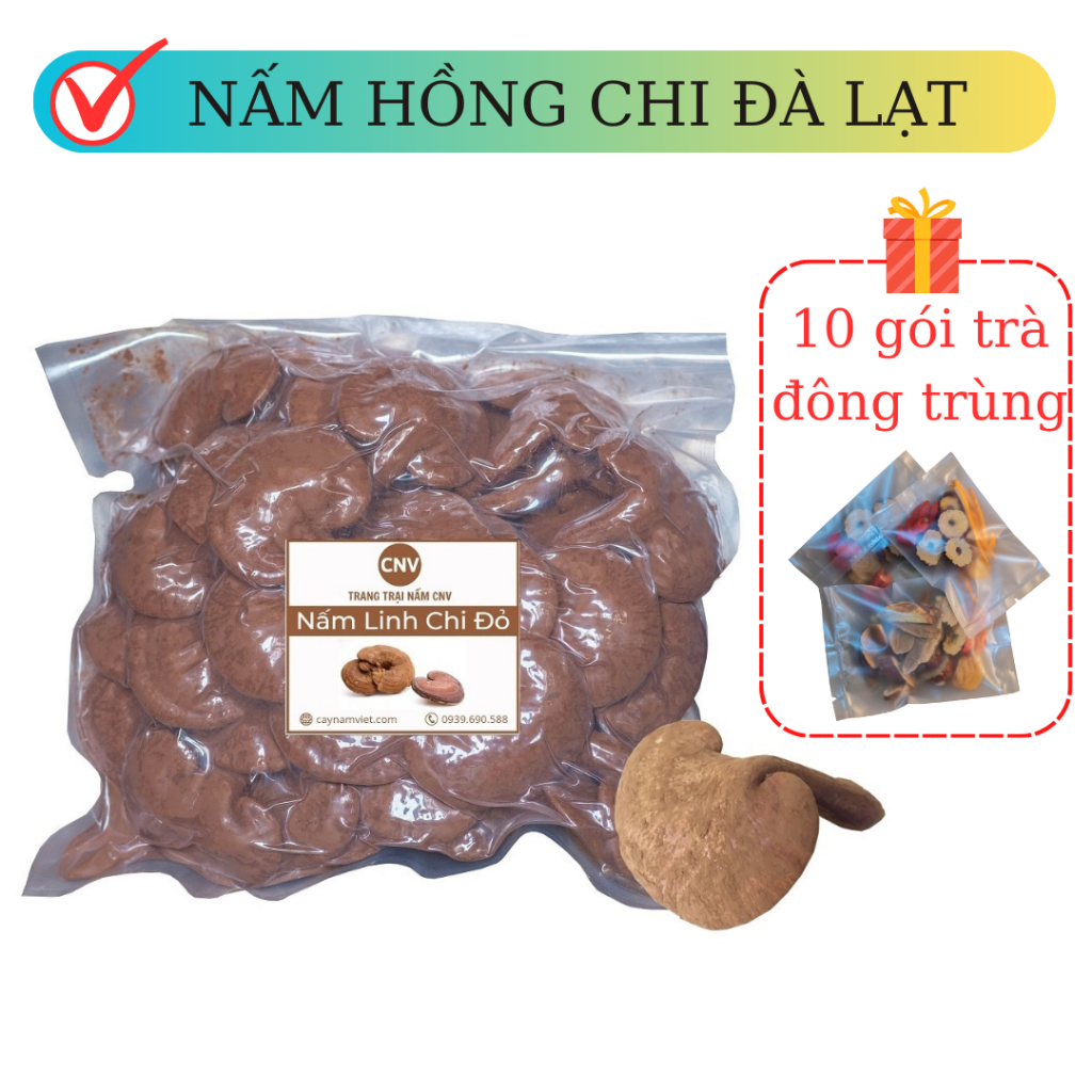 (Combo) Nấm linh chi đỏ Đà Lạt cao cấp CNV 500g x 2 (Hồng chi đà lạt)