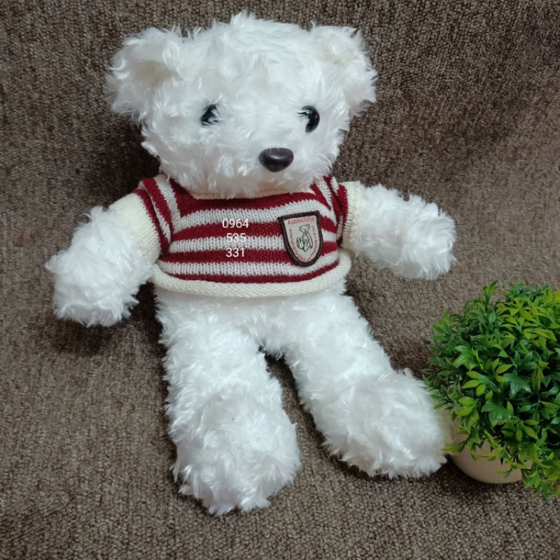 💖 Gấu tedy áo len 30cm💖