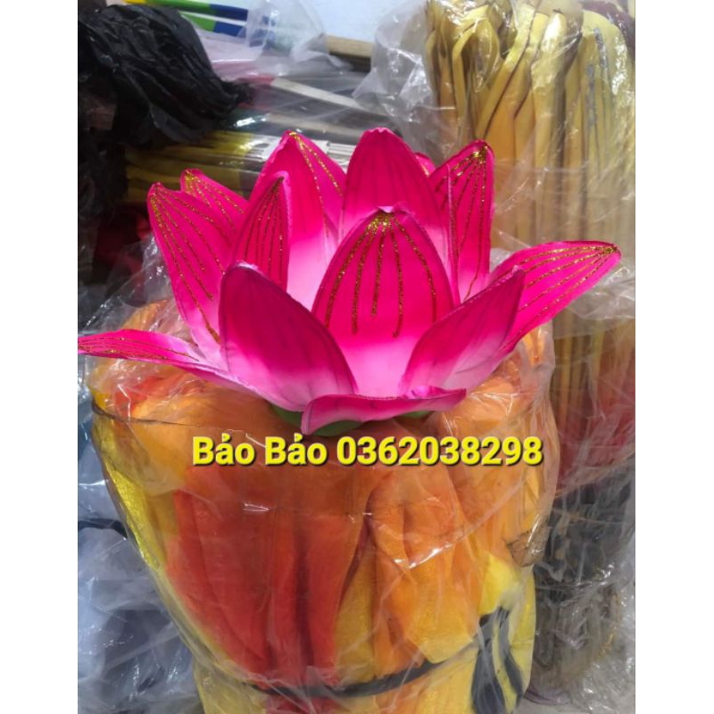 Hoa sen múa. có cho thuê