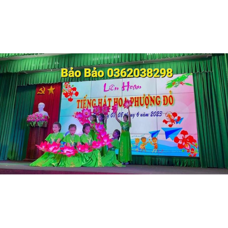 Hoa sen múa. có cho thuê