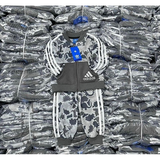 (9-40kg) Bộ nỉ bé trai Das khủng long xám