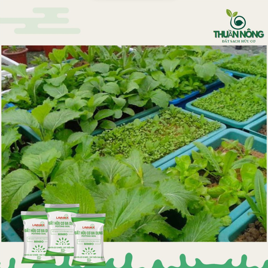 Đất sạch hữu cơ - LAVANMIX 10kg - đât sạch trong rau, đất trồng cay cảnh có sẵn chất dinh dương