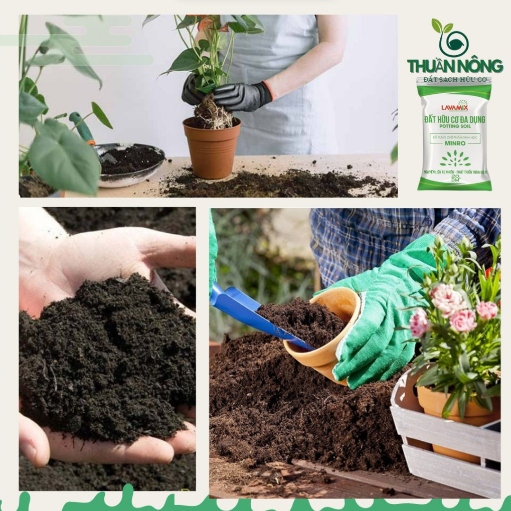 Đất sạch hữu cơ - LAVANMIX 10kg - đât sạch trong rau, đất trồng cay cảnh có sẵn chất dinh dương
