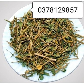 Cà gai leo Hòa Bình sấy khô 1kg