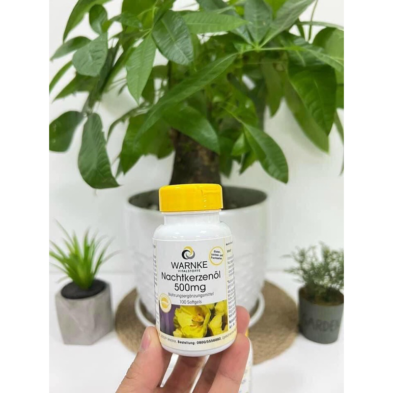 Hoa Anh Thảo Warnke của Đức