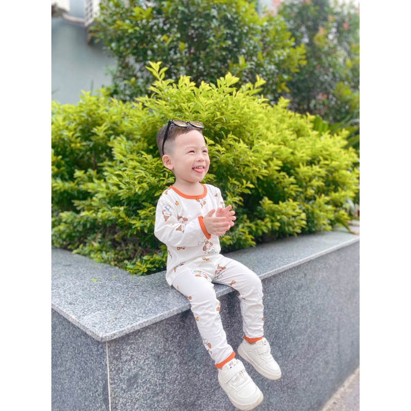 Bán Sỉ Sét 2b Gấu Vàng  Chất  cotton