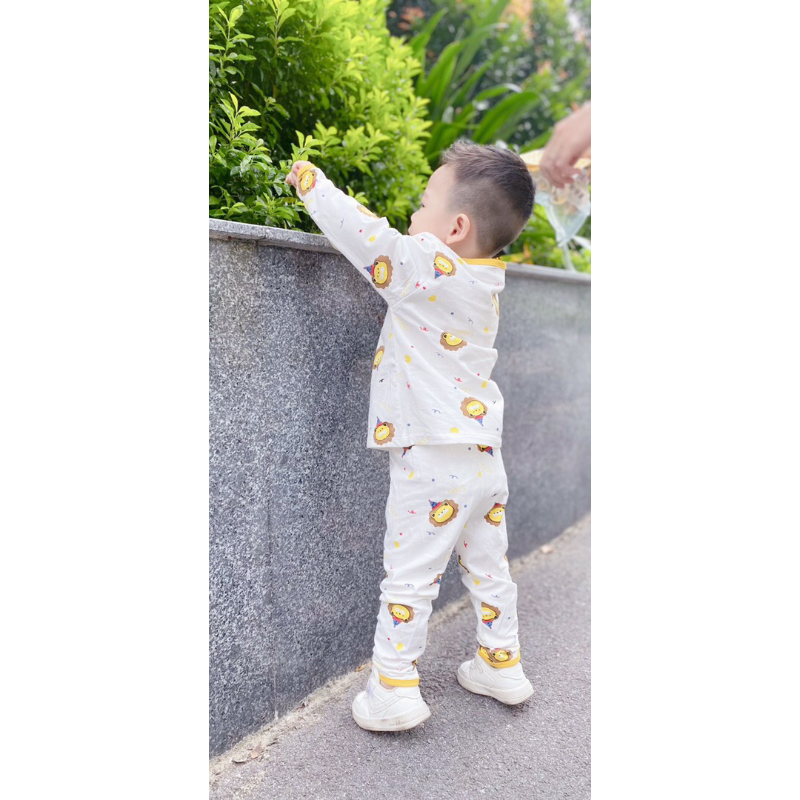 Bán Sỉ Sét 2b Gấu Vàng  Chất  cotton