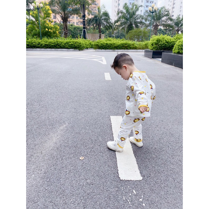 Bán Sỉ Sét 2b Gấu Vàng  Chất  cotton