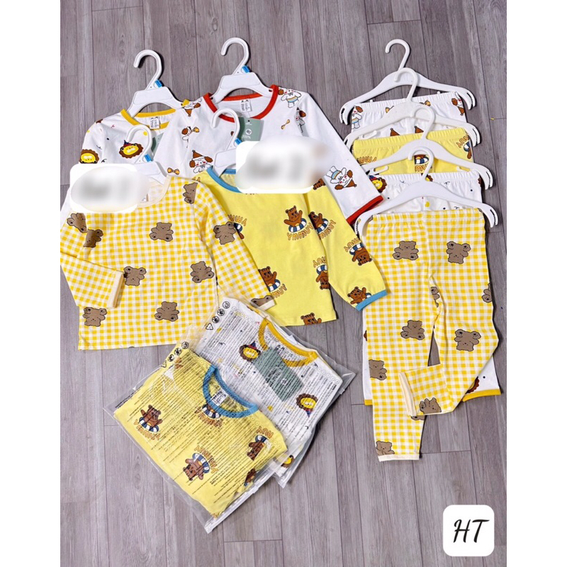 Bán Sỉ Sét 2b Gấu Vàng  Chất  cotton
