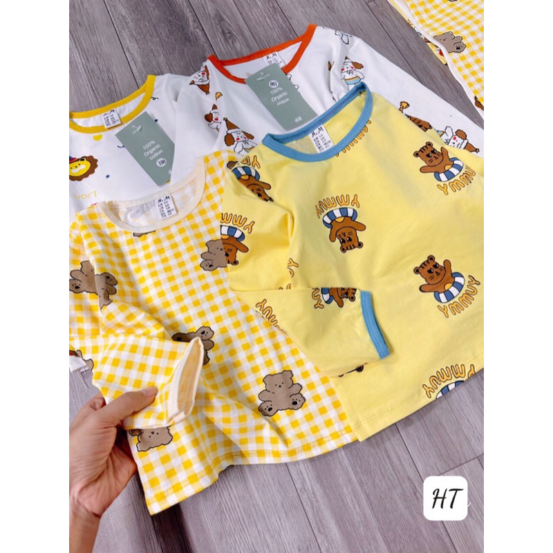 Bán Sỉ Sét 2b Gấu Vàng  Chất  cotton