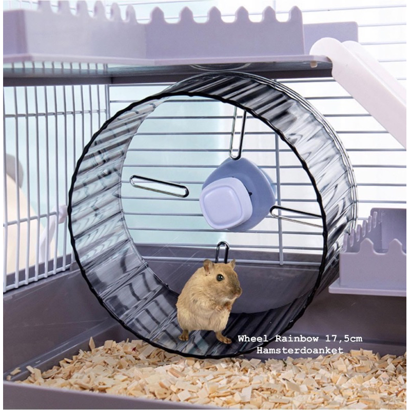 WHEEL VẬN ĐỘNG CHO HAMSTER - Wheel RainBow trong suốt