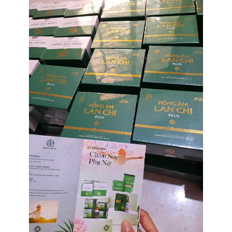 Phụ khoa Lan chi: hộp 12 kén tặng hộp cốt ngâm