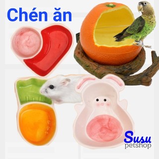 Chén ăn bằng sứ cho Hamster, Sóc, Bò sát, Chim, Vẹt