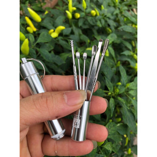 Bộ lấy ráy tai Zwilling , bộ dụng cụ ngoáy tai 6 món kèm móc khoá thép không gỉ