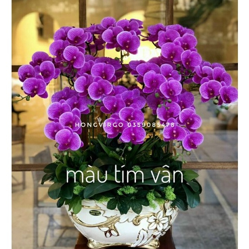 1 cành Hoa Lan Hồ Điệp Giả - Hoa Lan Cao Su - HÀNG ĐẸP CHUẨN CAM KẾT GIÁ TRÊN LÀ GIÁ 01 CÀNH 9 bông
