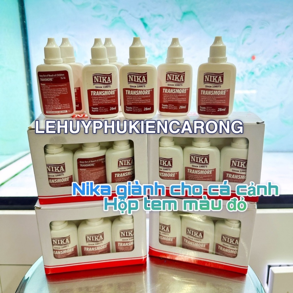 NIKA Dung Dịch Vận Chuyển Cá Rồng, Cá Koi
