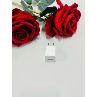 Củ Sạc Adapter Sạc Usb 5W Cho IP6. IP 7. Ipod