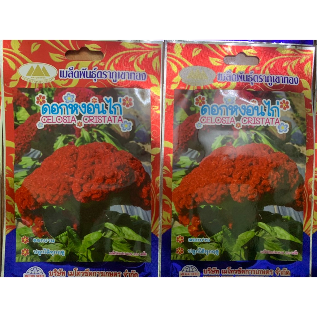 hạt giống hoa mào gà búa màu đỏ nhập khẩu thái lan nguyên bao bì