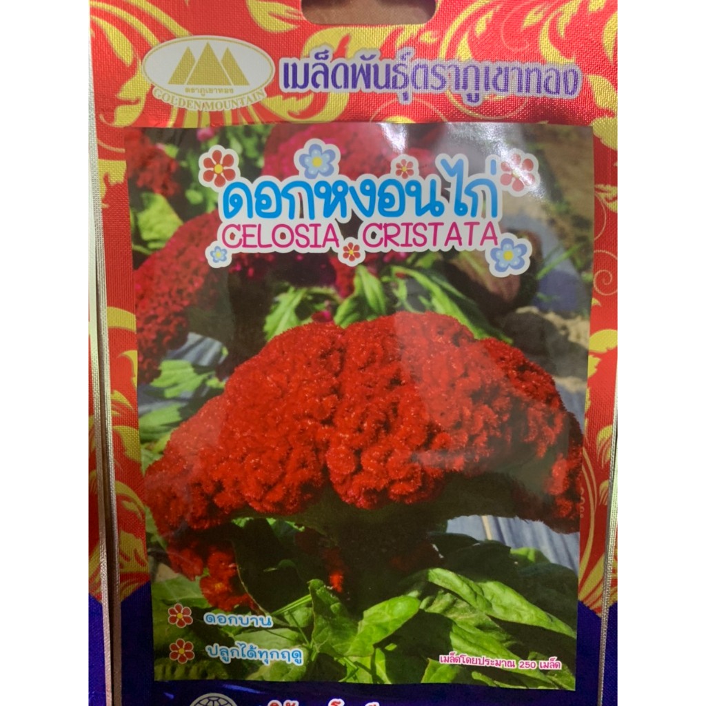 hạt giống hoa mào gà búa màu đỏ nhập khẩu thái lan nguyên bao bì