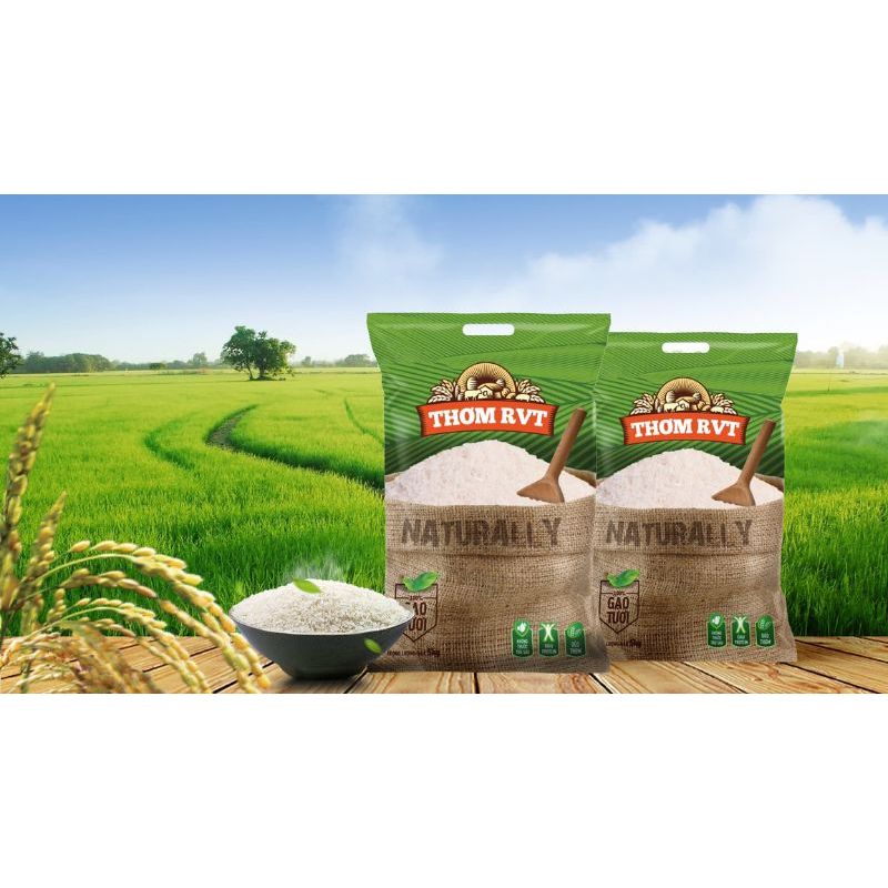 Gao ST 25 đặc sản Sóc Trăng bao 5 kg hàng vinaseed