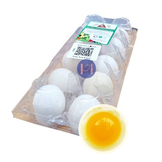 Trứng Gà Hữu Cơ Kim Sơn Farm SIÊU CAO CẤP Vỉ Nhựa 450g 10 Quả