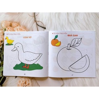 Bộ Phát Triển Tư Duy