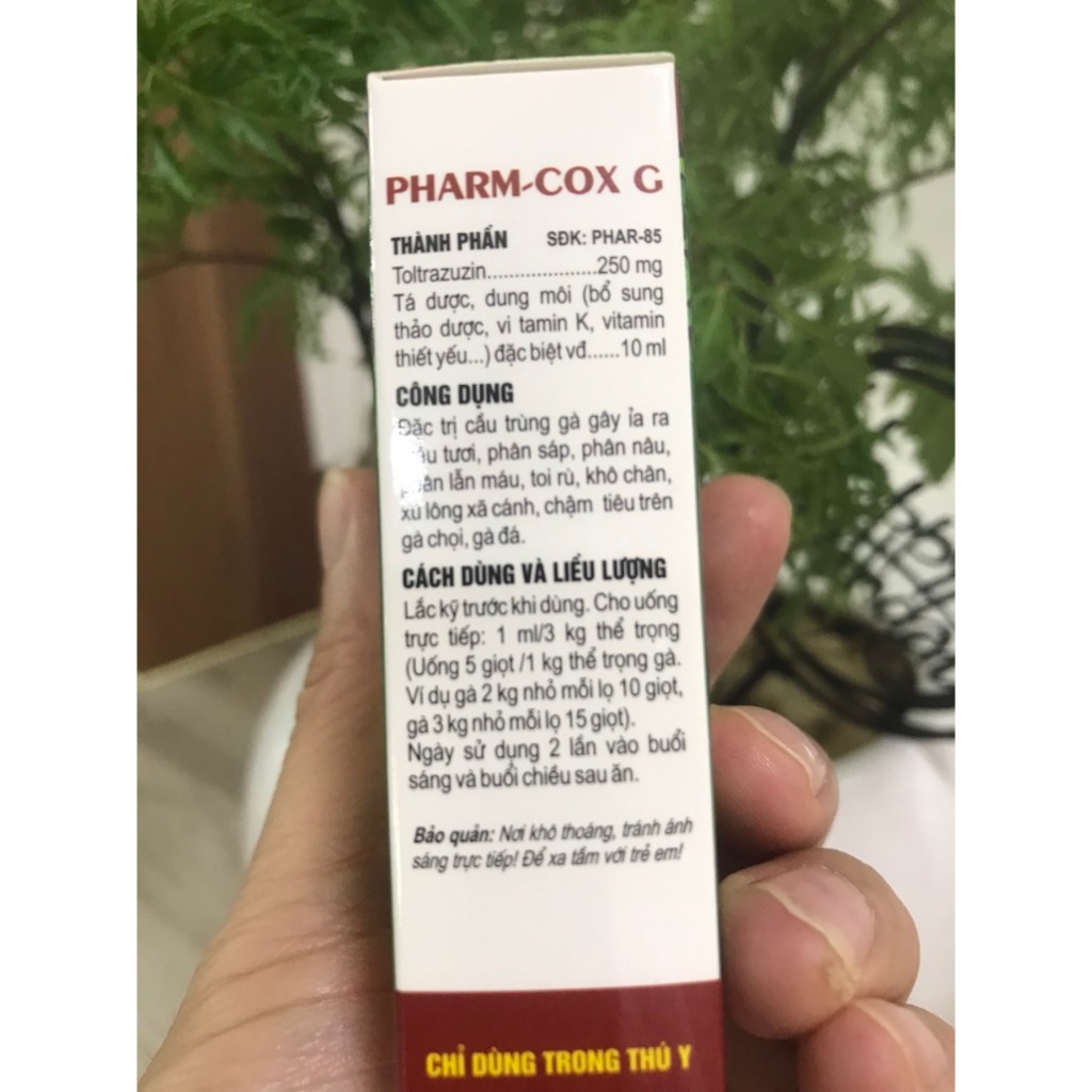 Đặc-Trị-Đường-Ruột-Cao-Cấp-StarWin