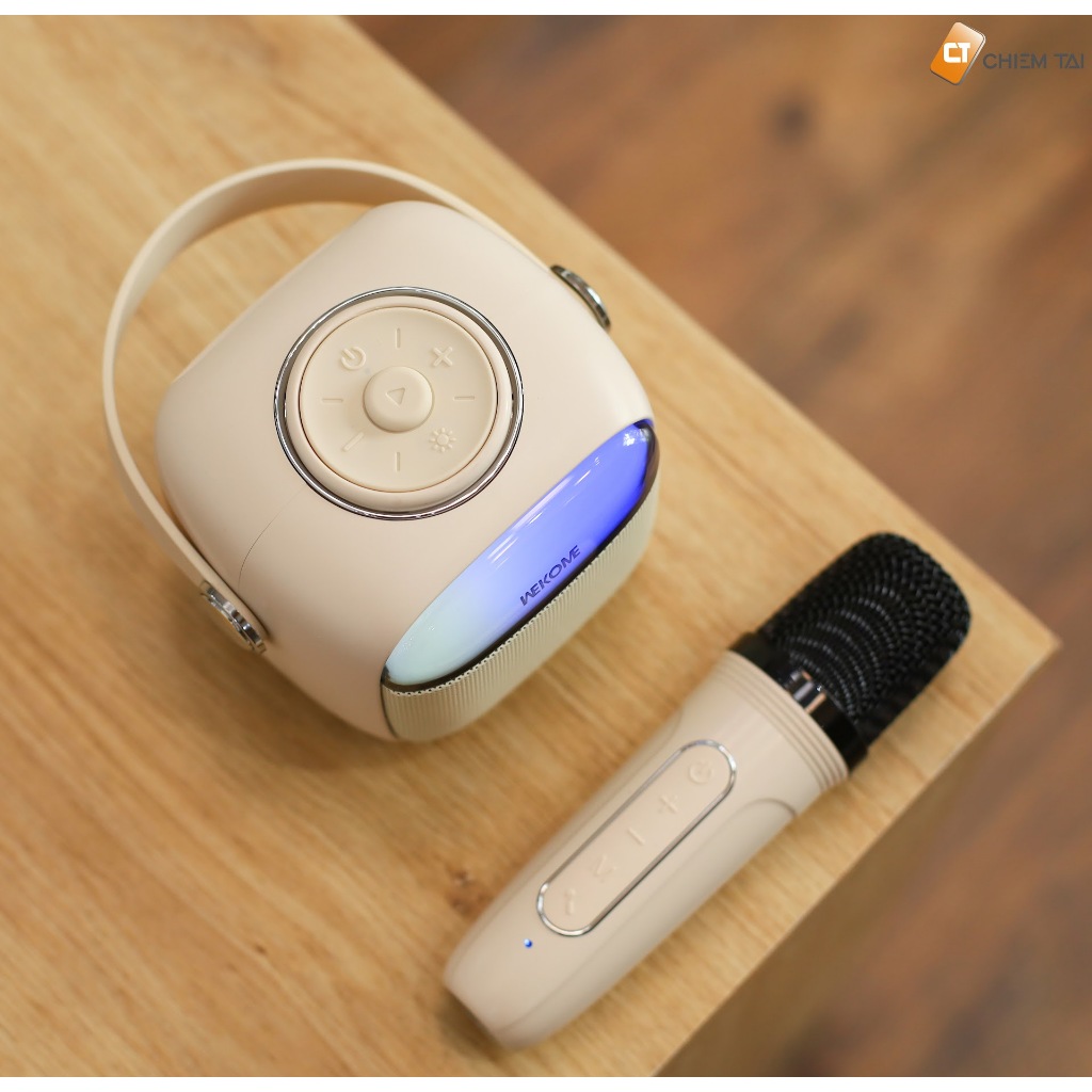 Loa karaoke mini Bluetooth WEKOME D43