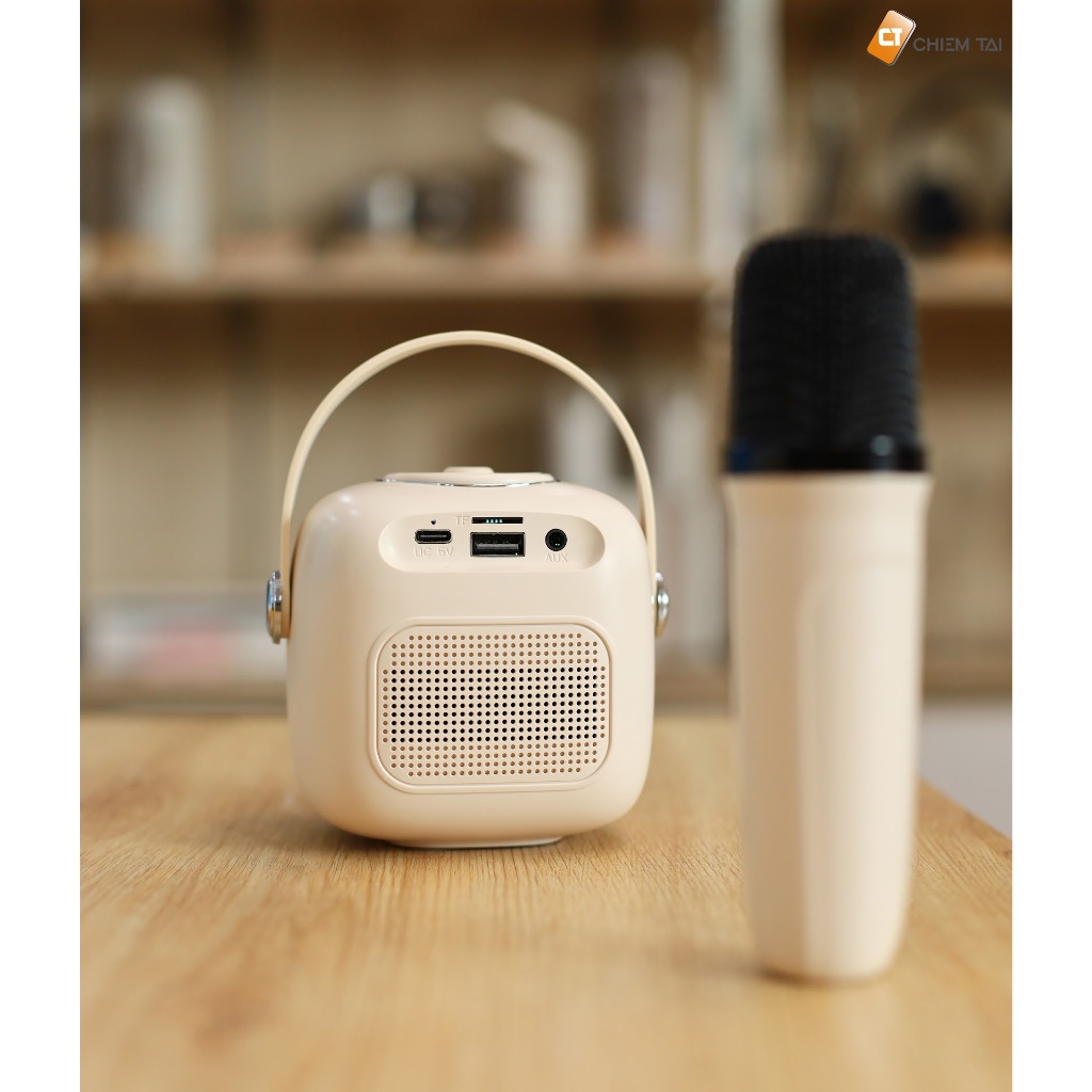 Loa karaoke mini Bluetooth WEKOME D43