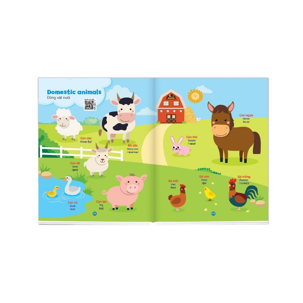 Sách - Combo Từ vựng và Mẫu câu Tiếng anh thông dụng cho bé