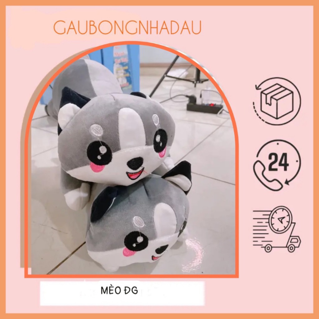 Gấu bông Mèo bi dễ thương hàng đồng giá