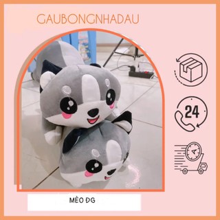 Gấu bông Mèo bi dễ thương hàng đồng giá