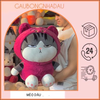Gấu bông Mèo Dâu - Mèo Hoàng Thượng cosplay gấu dâu cao cấp